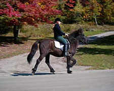 USA-Vermont-Vermont Country Inn Ride - Sugarbush